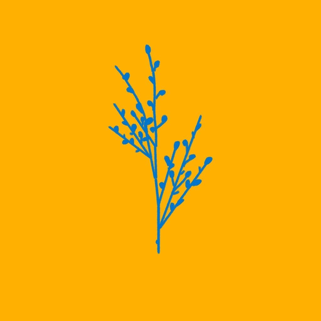 Puikios paskolos sąlygos