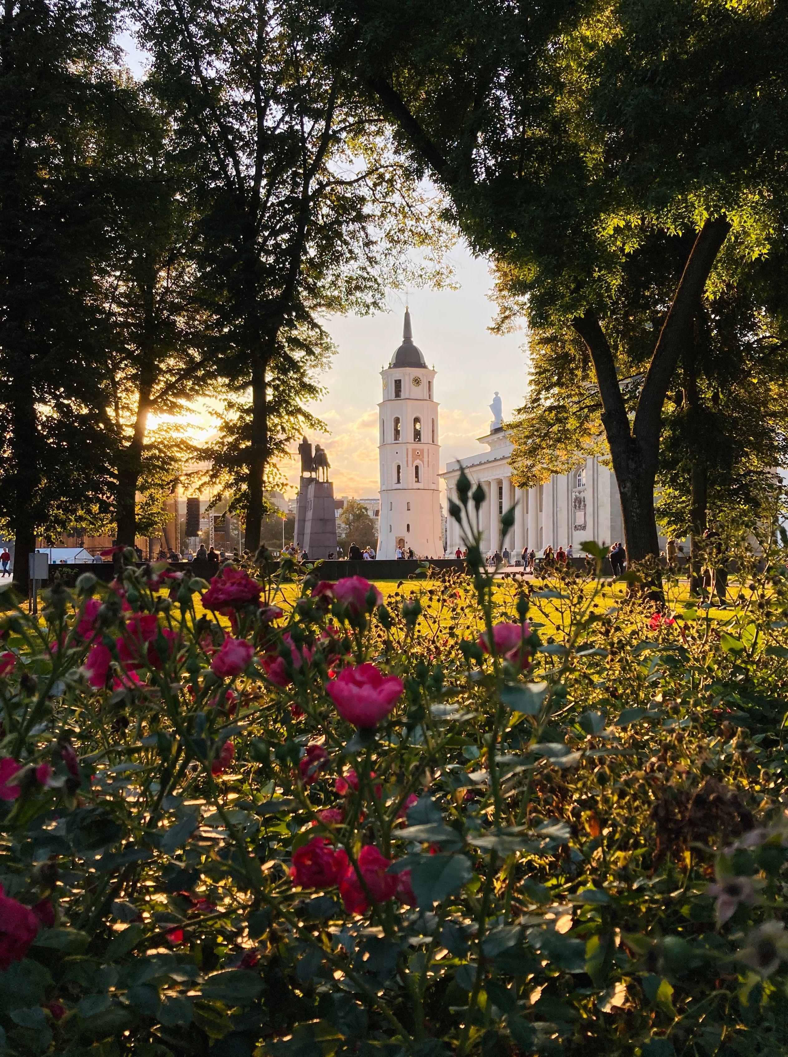 5 pigios lankytinos vietos Lietuvoje šią vasarą | Credit24